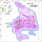 Canada Nickel Makes New Discovery at Newmarket Property, Achieves Best Drill Results at Reid to Date and Announces Grant of Options and RSUs